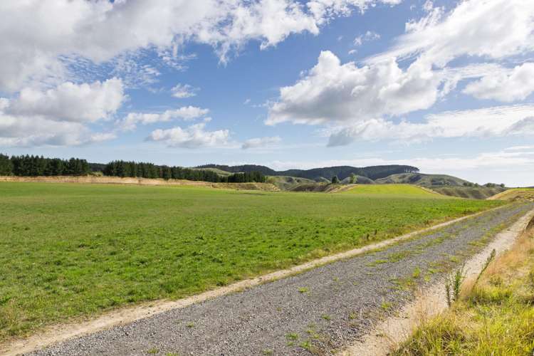 - Airstrip Road Pikowai_7