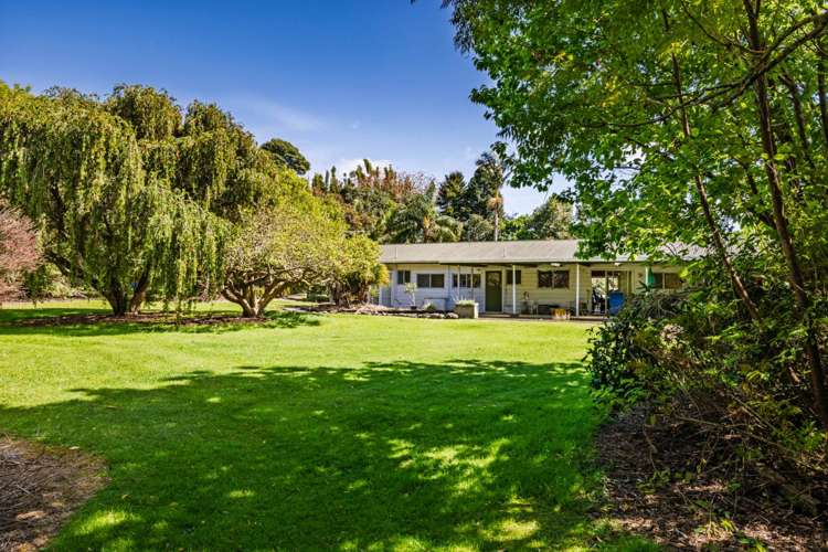 44A & B Darwin Road Kerikeri_12