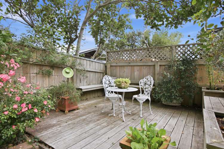 86A Gover Street New Plymouth Central_12