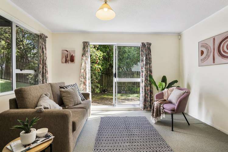 54 Clifford Road Johnsonville_5