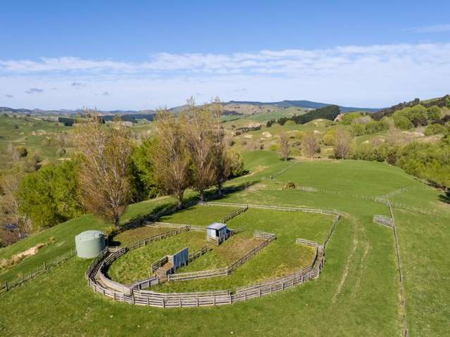 2122 Masterton Castlepoint Road Blairlogie_4