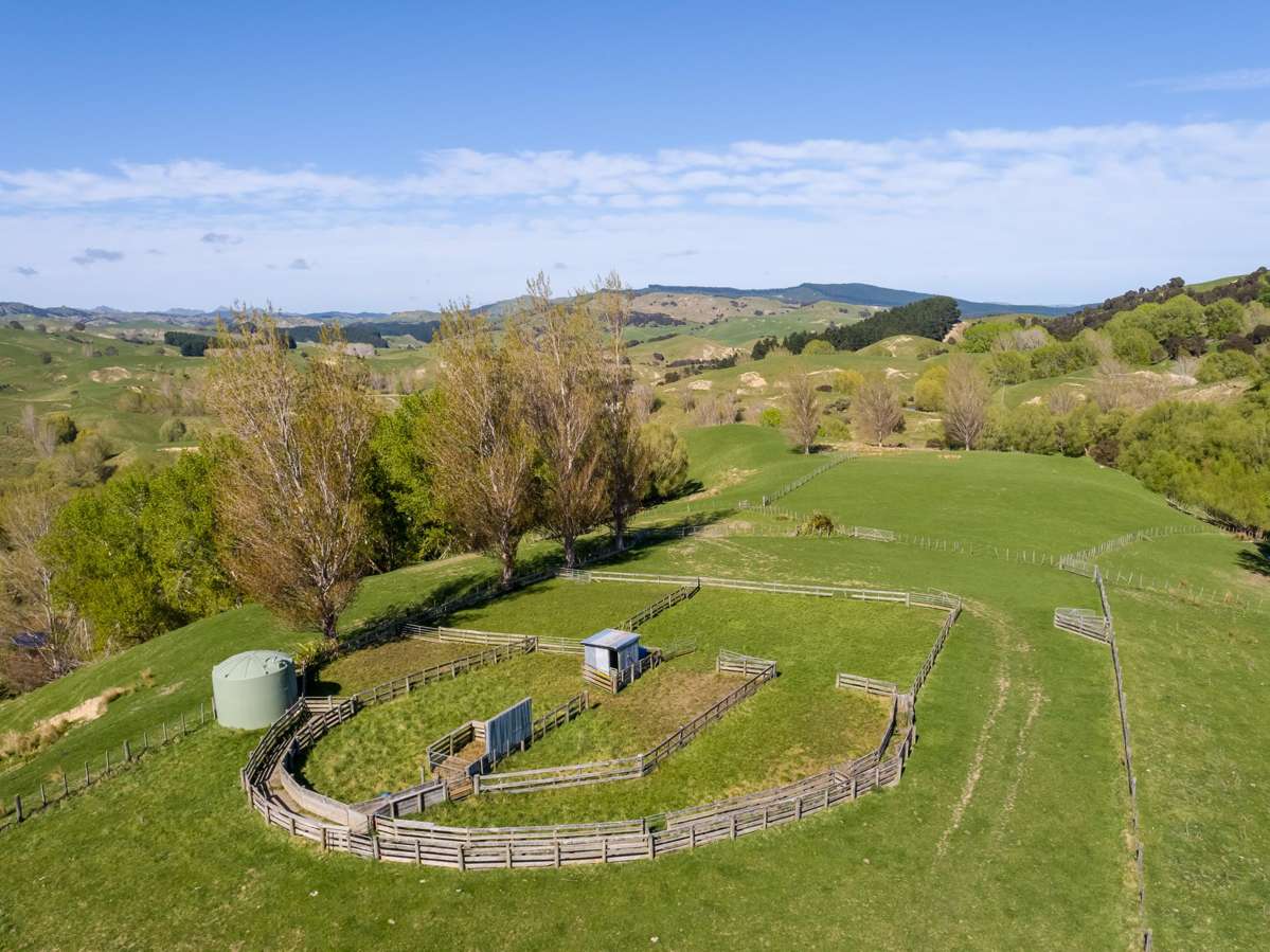2122 Masterton Castlepoint Road_3
