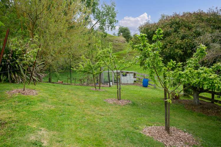 43 Pukerimu Lane Cambridge_14