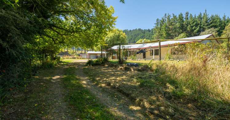 44 Bulford Road Rai Valley_19