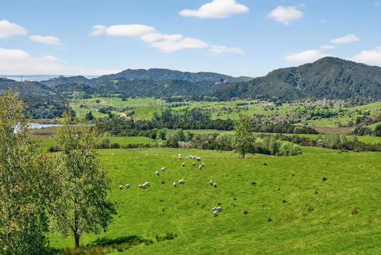 136 Ranganui Road Kaiwaka_34