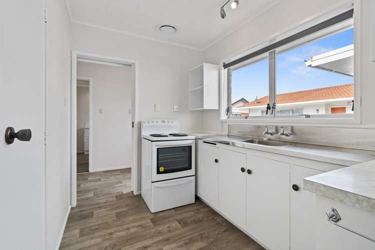 7b Hinau Street Maeroa_6