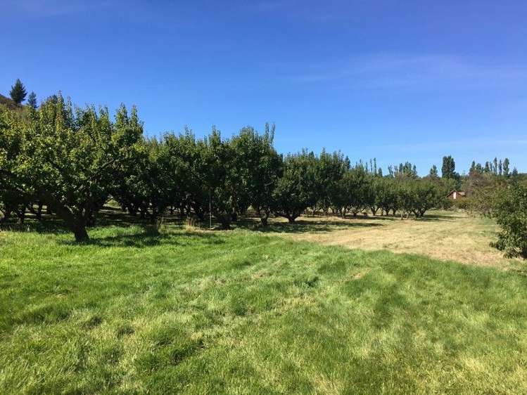 81 Springvale Road Clyde_25