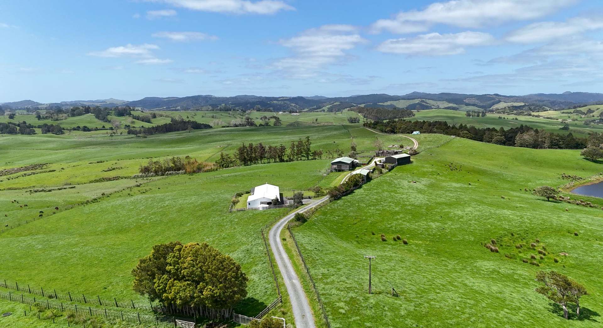 291 Prictor Road Wellsford_0