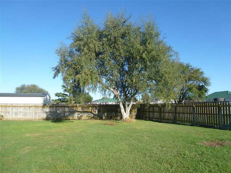 11 Ventura Grove Bulls_14