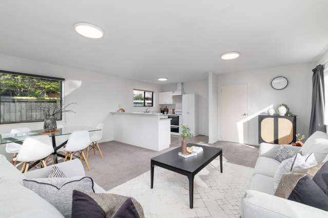 66A Peer Street Ilam_4