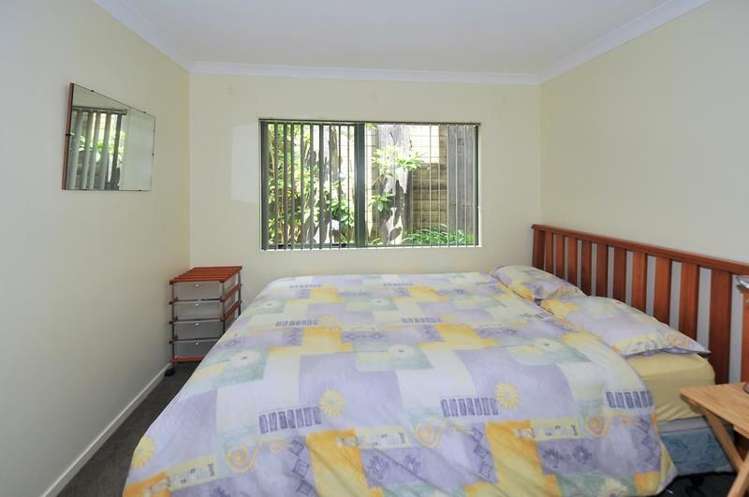62b Arran Road Browns Bay_3