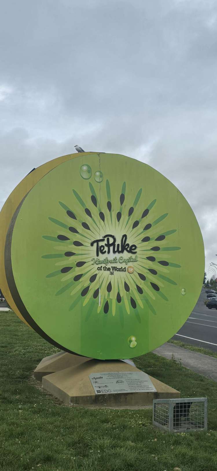 50B Moehau Street Te Puke_8