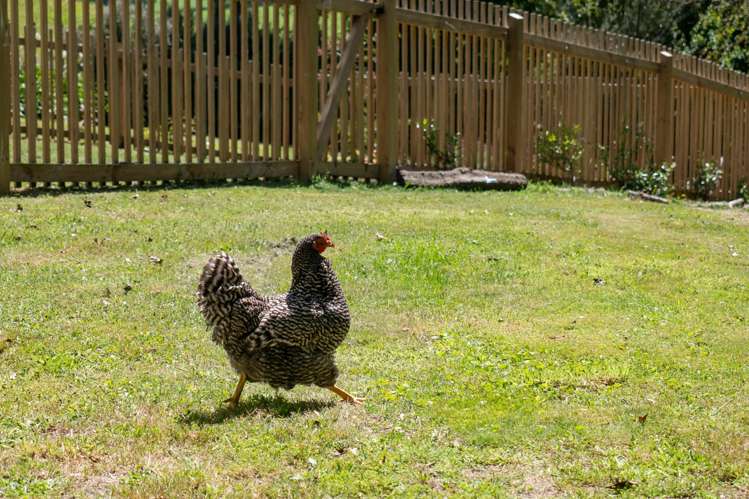 202 Ngamotu Road Rerewhakaaitu_21