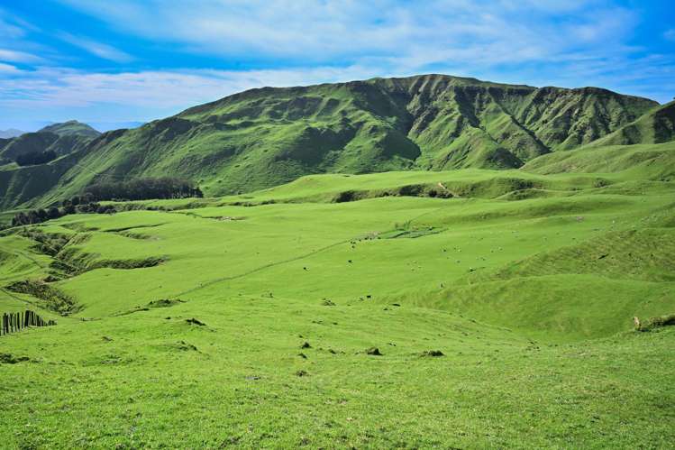 439 Rakauroa Road Matawai_14