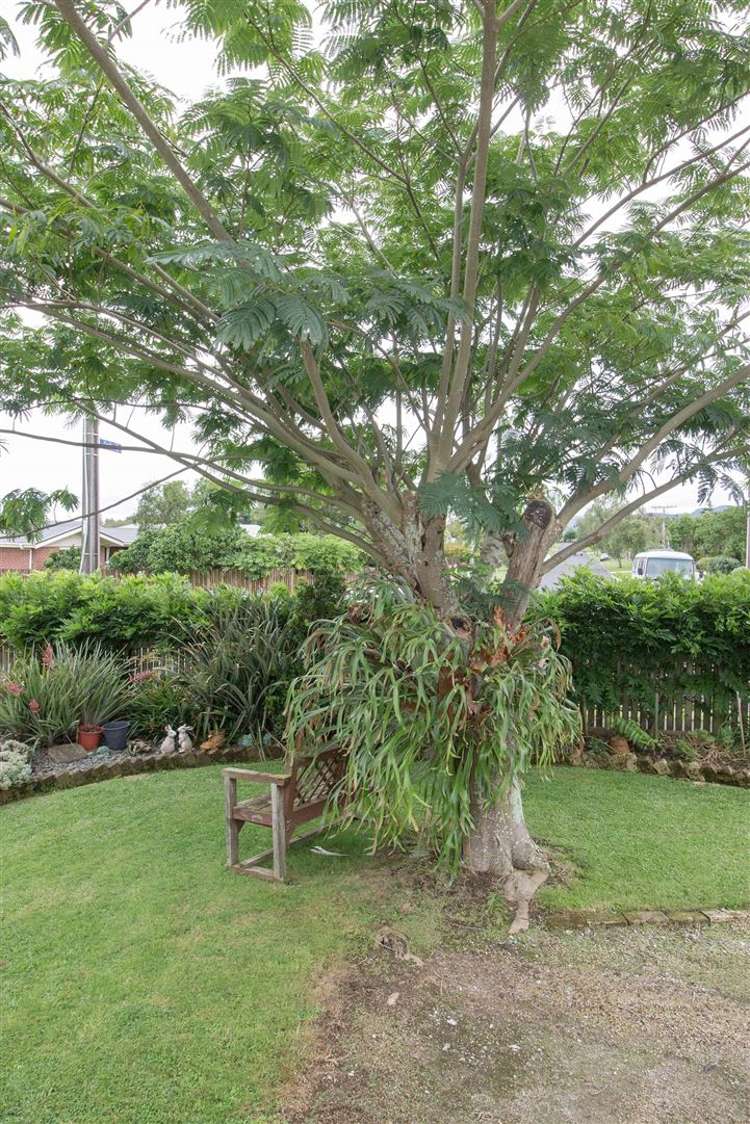 13 Wyatt Avenue Te Aroha_18