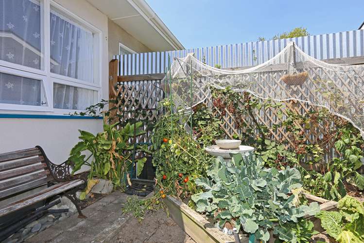 2/381 Kennedy Road Pirimai_9