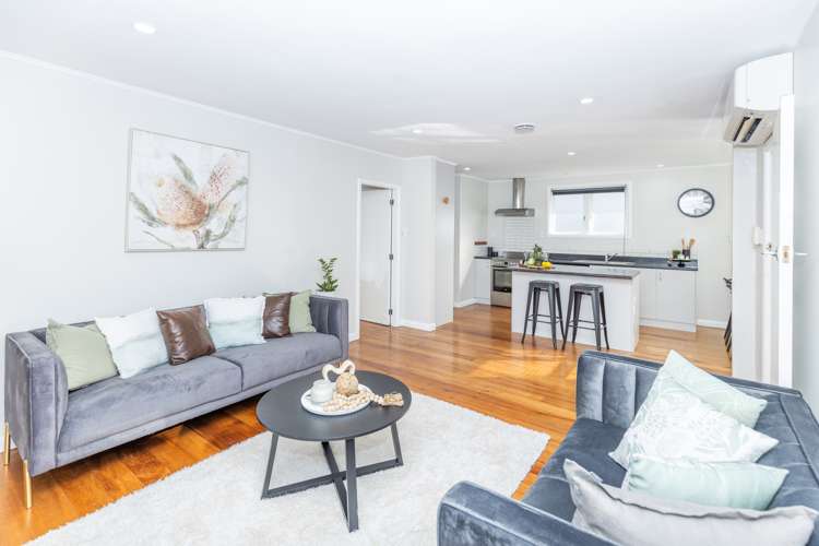 9b Murray Street Maeroa_1