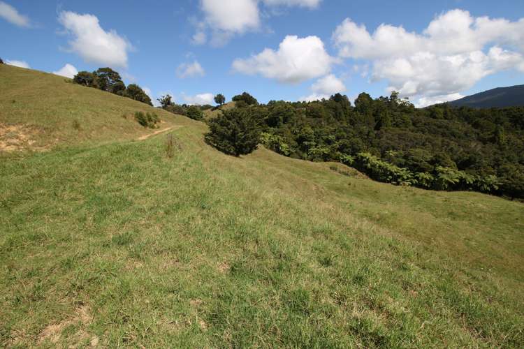 109 Paponga Road Broadwood_11