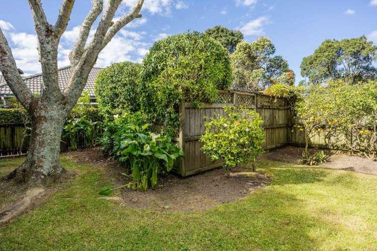 37 Princeton Parade Albany_22