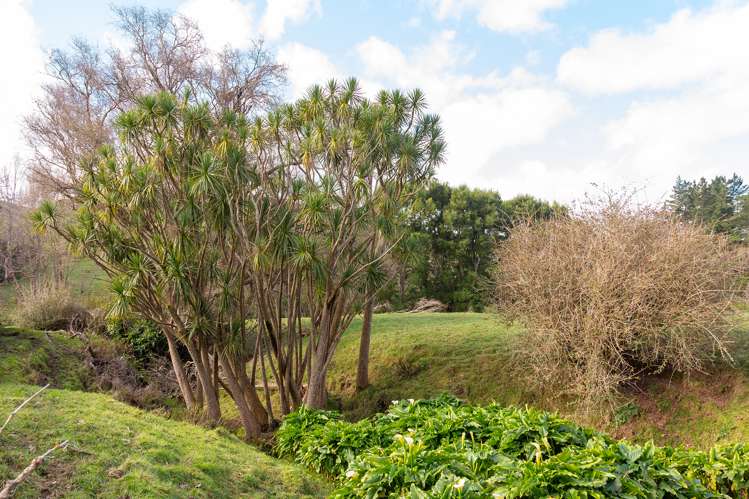 242 West Road Mauriceville_22