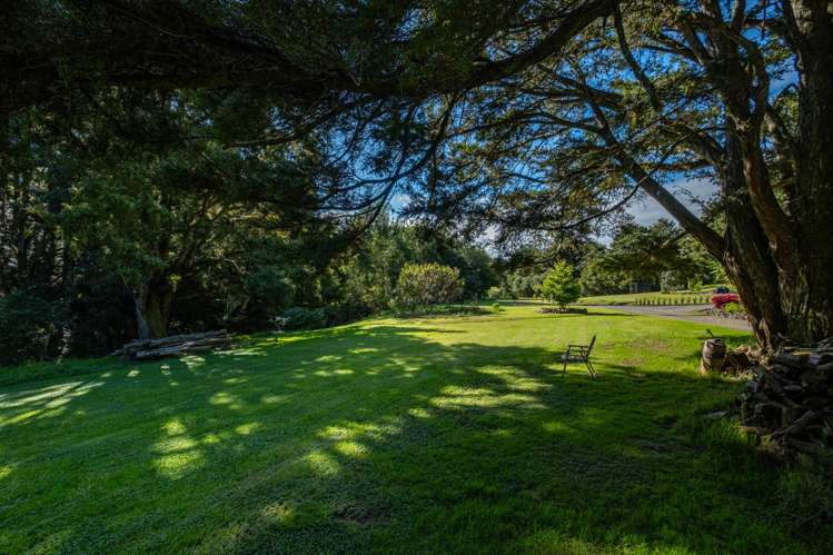 373 Fern Flat Road Peria_12