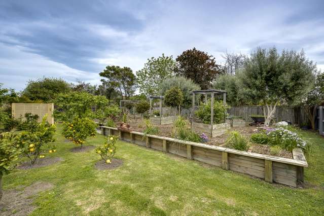 31 Napier Street Jervoistown_1