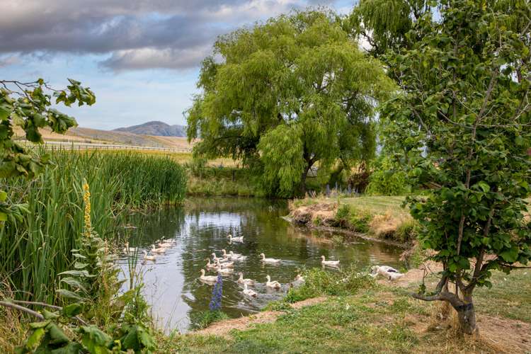 326 Golden Road Alexandra_23