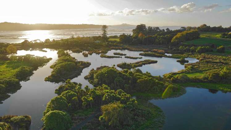 360 Clifton Road Whitford_11