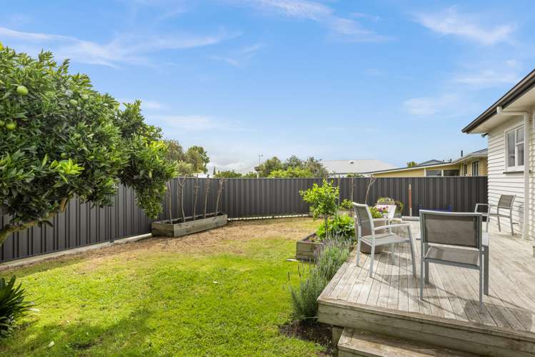 207 Guppy Road Taradale_14