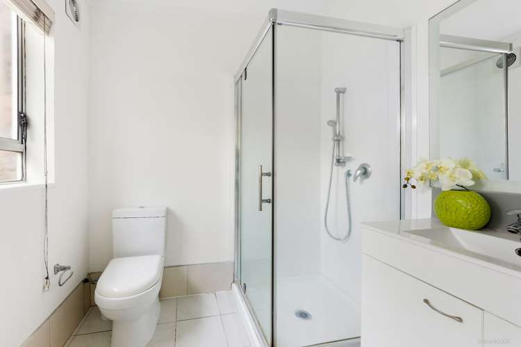 3/160 Mount Smart Road Onehunga_4