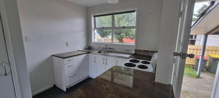 45 Collie Drive Pukehangi_6