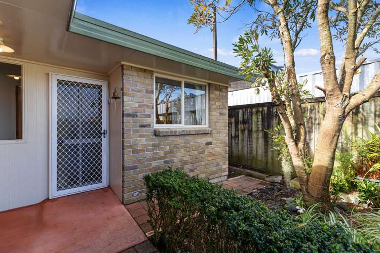 84b Studholme Street Morrinsville_18