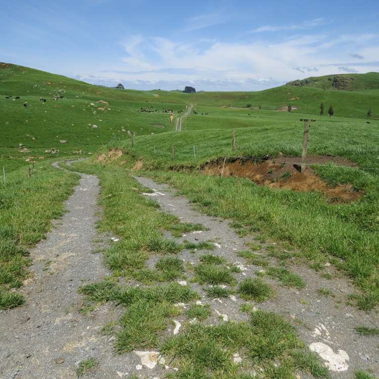 Kahuwera Road Piopio_6