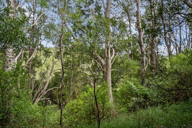 15 Waiparera Road Parua Bay_11