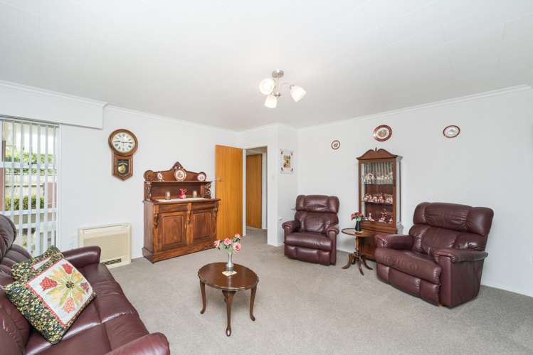 45 Dittmer Drive Awapuni_6