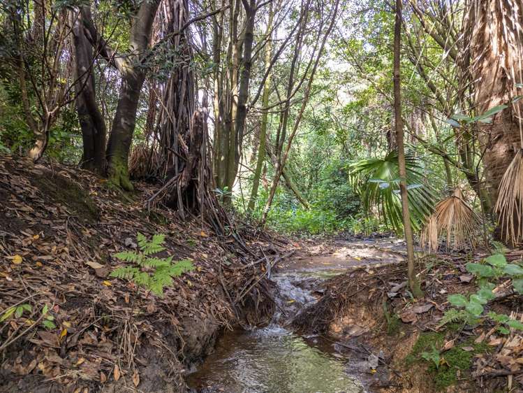 12 Oceana Drive Welcome Bay_10