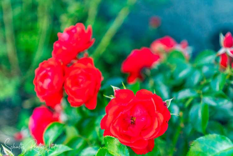 20 Bickerstaffe Road Maungaturoto_29