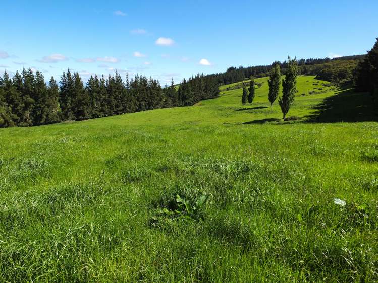 1101+1028 Otautau Tuatapere Road Merrivale_6