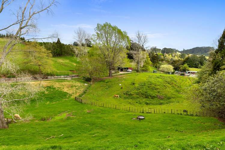 McLaren Falls Road Omanawa_5