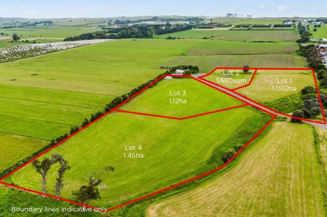 17 Ranfurly Street Waitara_1