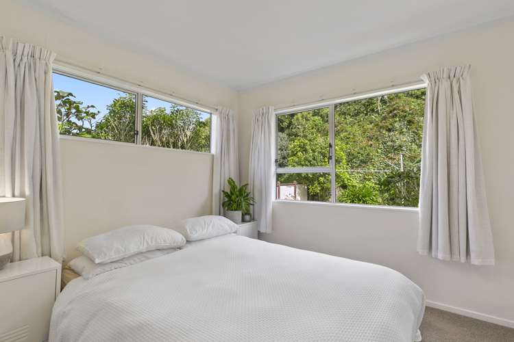 51 Cortina Avenue Johnsonville_5