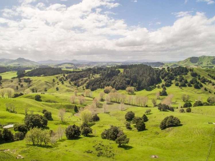 171 Girls High School Road Tangiteroria_7