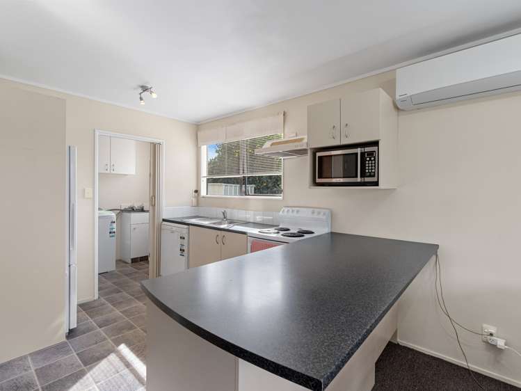 22 Roy Street Nawton_7