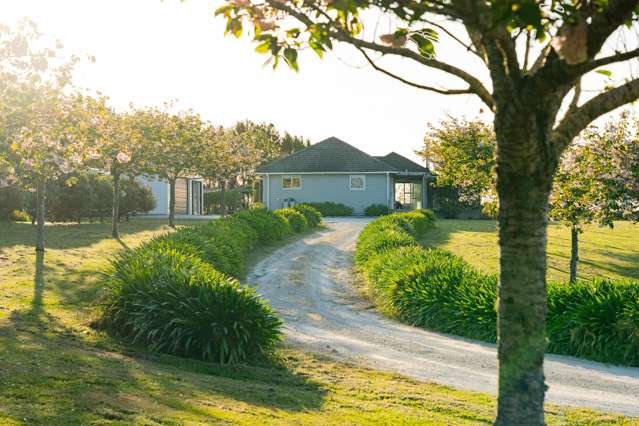 1030 Maniatutu Road Pongakawa_3