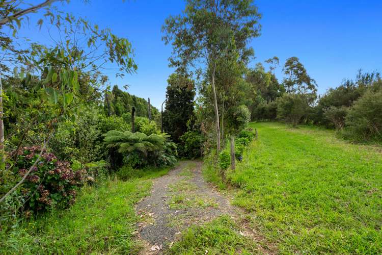 Pine Ridge Lane Aongatete_9