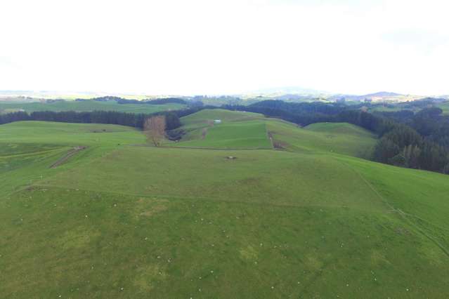 553 Buckland Road Matamata_1