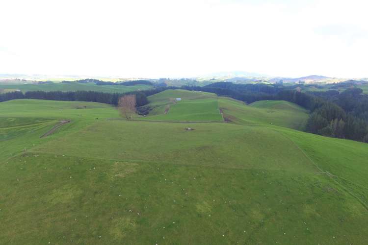 553 Buckland Road Matamata_1