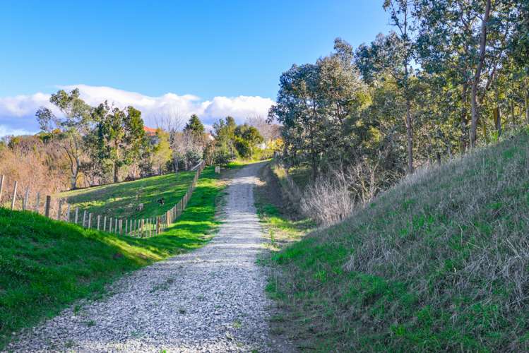 81 Nilgiri Road Poraiti_10