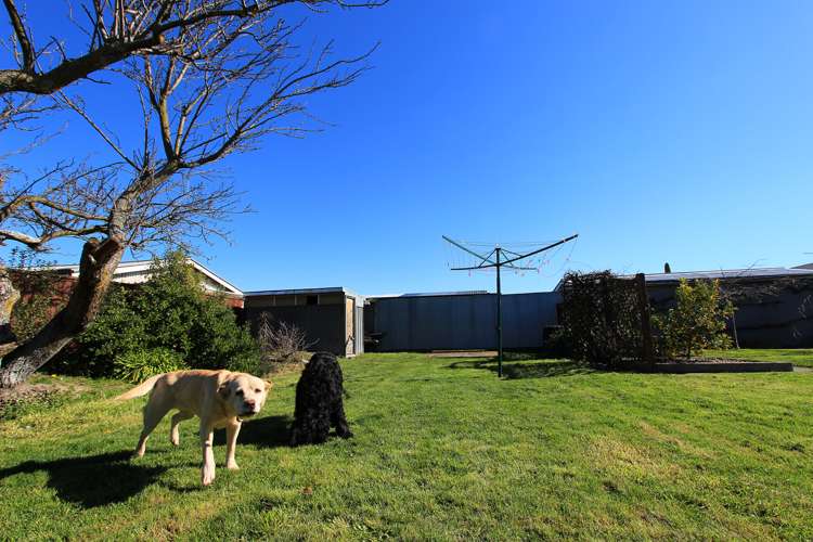 3 Cleghorn Street Redwoodtown_12