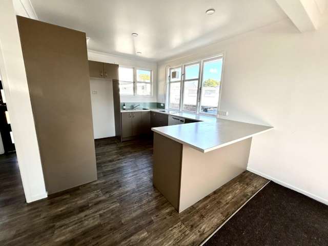 55 Miller Street 1070_2